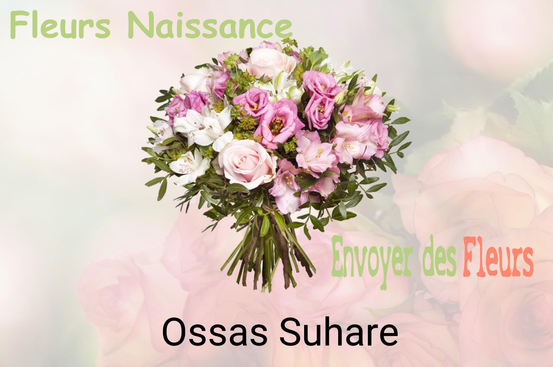 Bouquet de fleurs de naissance livré à Ossas-Suhare